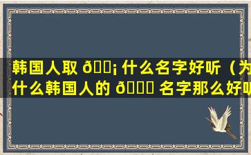 韩国人取 🐡 什么名字好听（为什么韩国人的 🍁 名字那么好听）